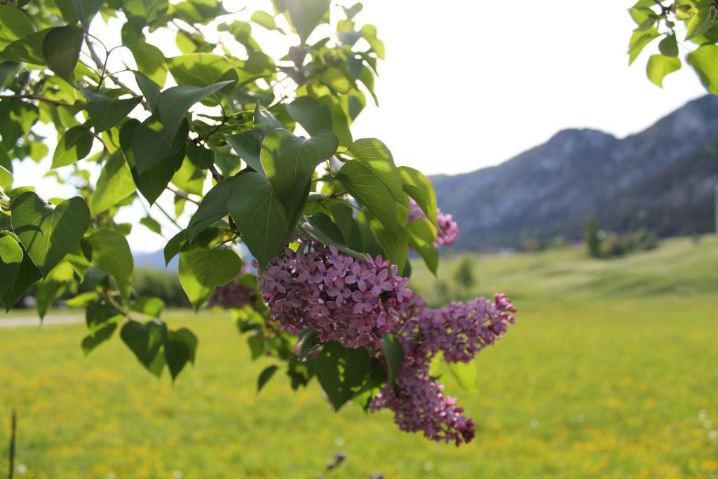 Hotel Kraftquelle Schlossblick Angerberg  ภายนอก รูปภาพ